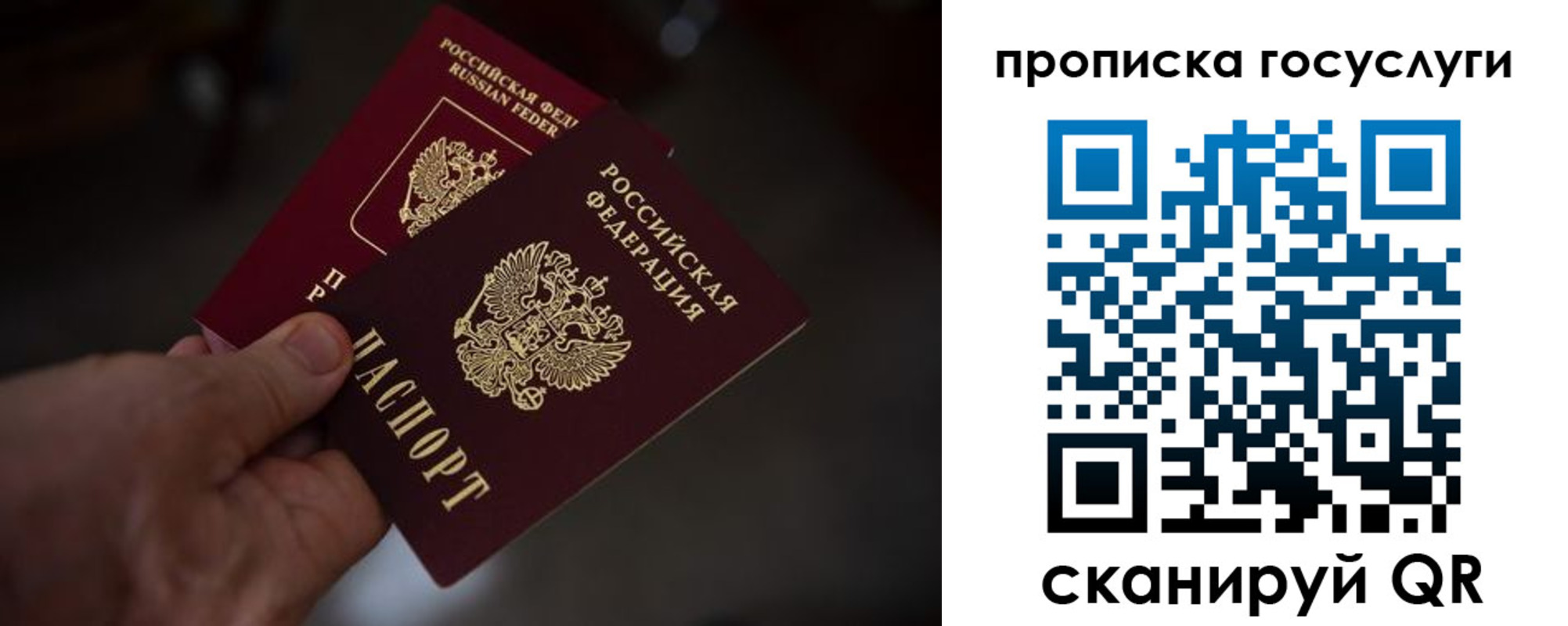 прописка ребенка в Нововоронеже